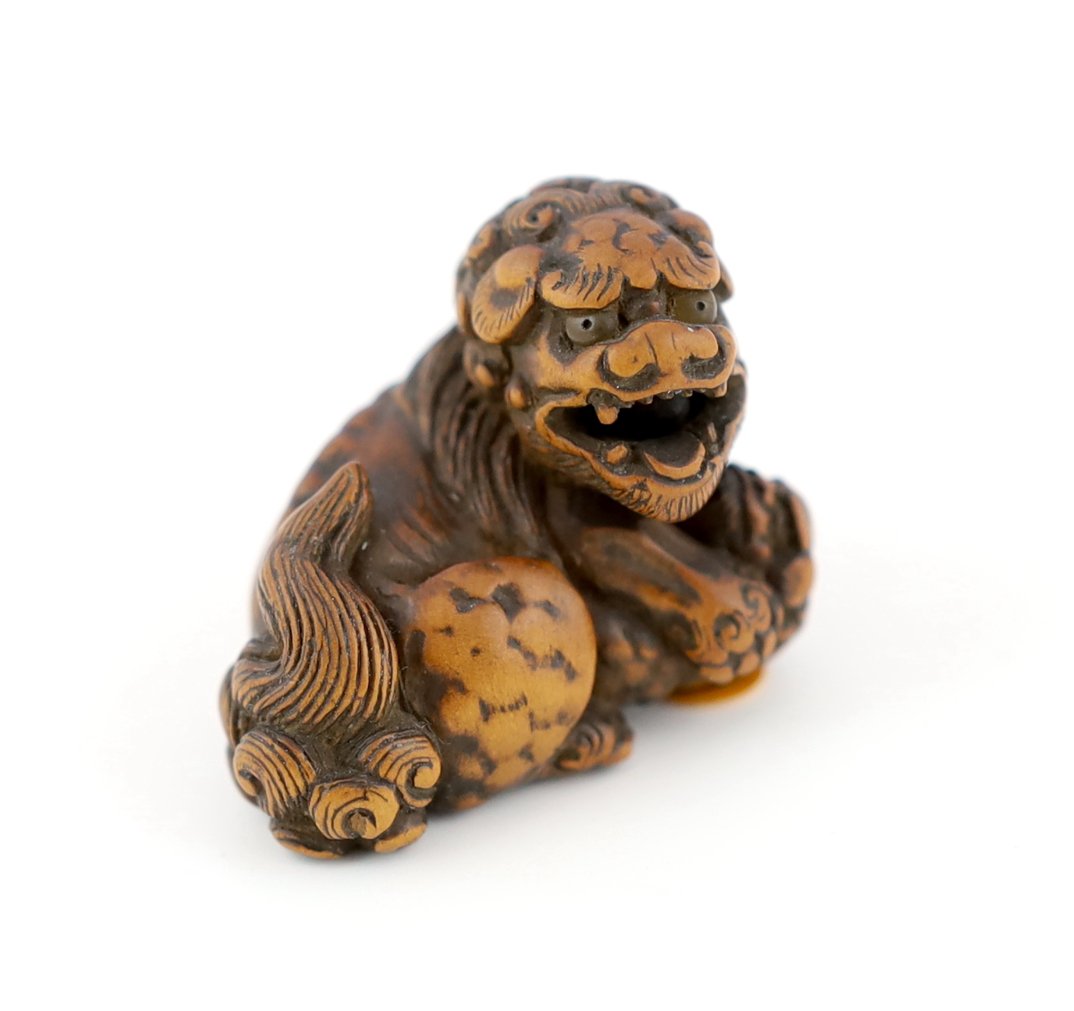 A Japanese carved wood netsuke of a recumbent Shi-Shi, signed Toyomasa?, late 18th century